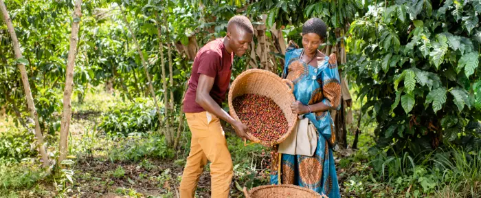 wat-is-fairtrade-teaser wat-is-fairtrade-teaser