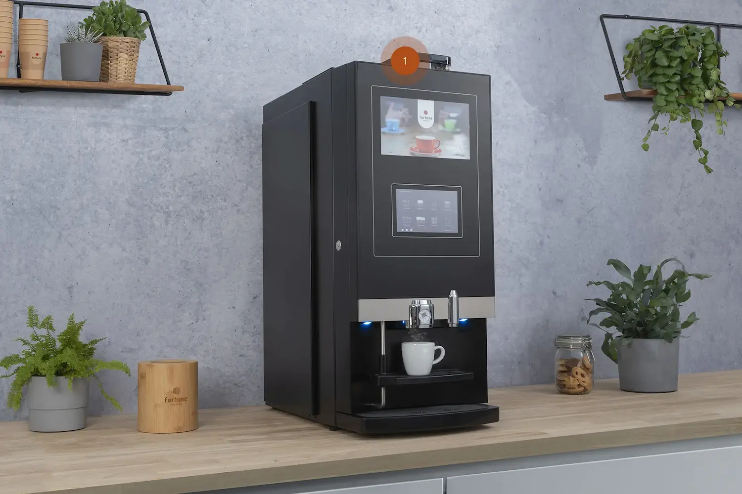Cadenza Large Solide Braumann Brewer 