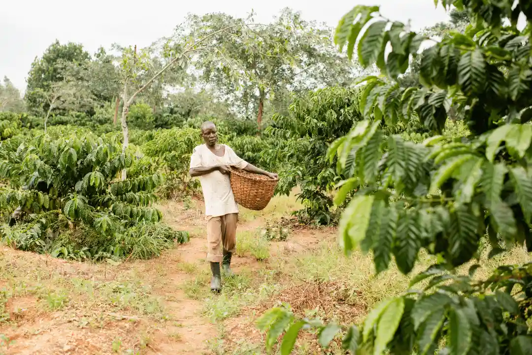 Wat is Fairtrade - Klimaatverandering