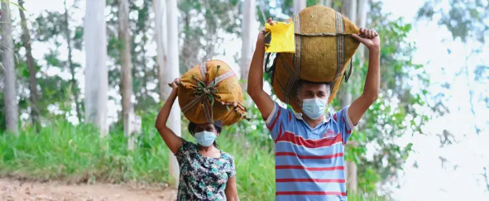 blog-wat-is-theine-teaser