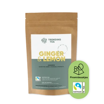 Gember Citroen - piramidezakjes Gember Citroen - piramidezakjes