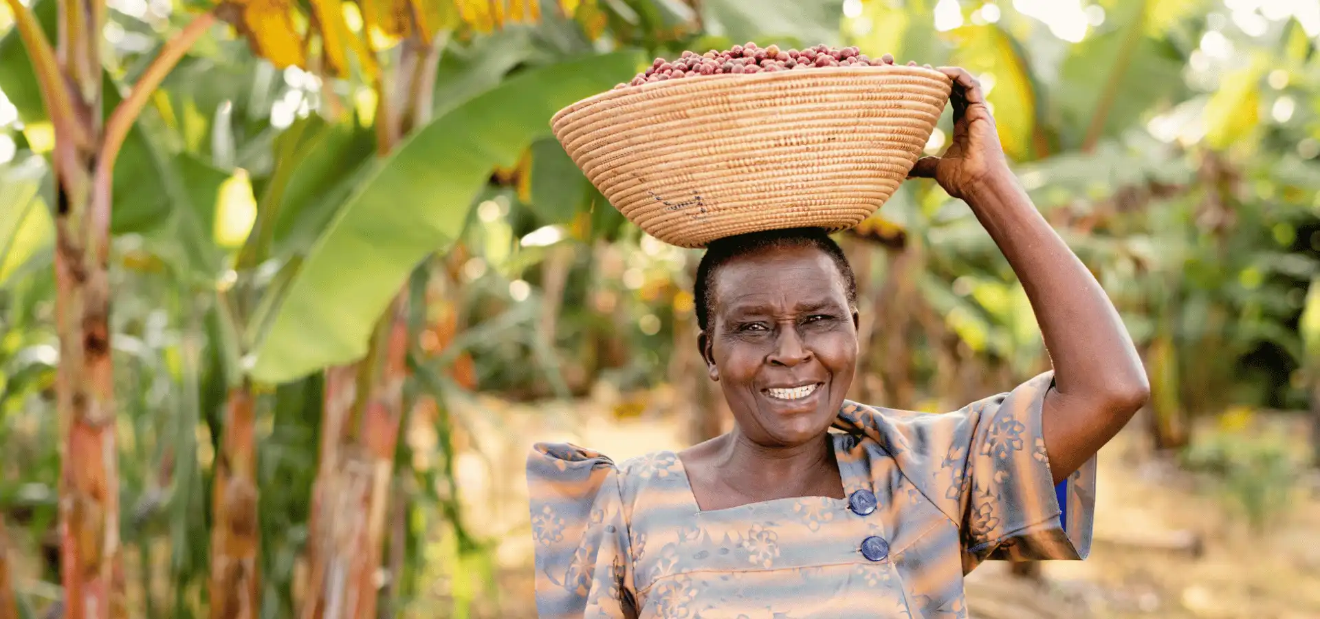 Koffieboer in Oeganda