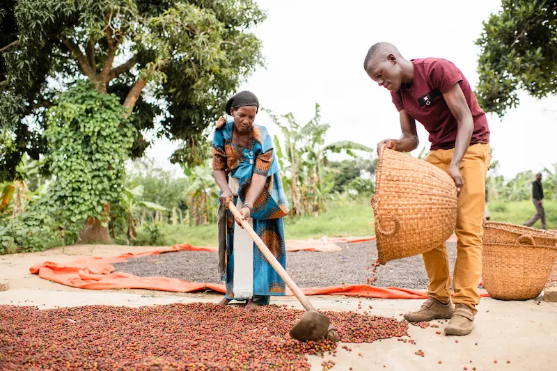 Wat is Fairtrade - Duurzame Ontwikkelingsdoelen (SDG’s)
