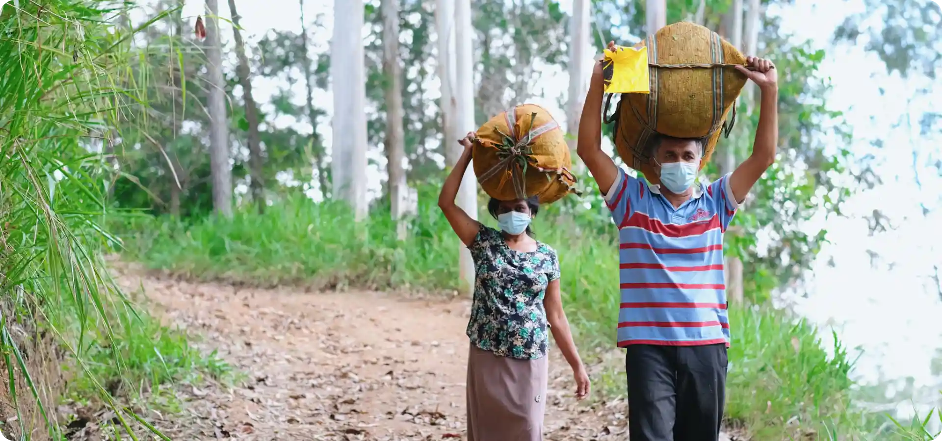 Wat is theïne? Fortune Coffee legt het uit